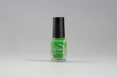 Swanky Stamping, Лак для стемпинга S48 - Классический зеленый (6 мл)